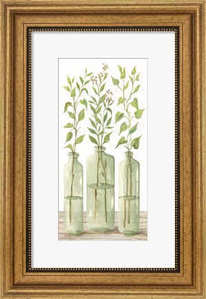 Framed Simple Leaves in Jar II Print
