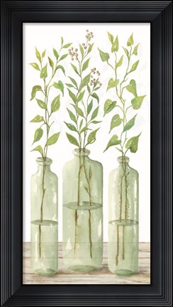Framed Simple Leaves in Jar II Print