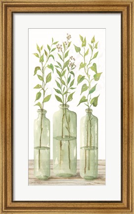 Framed Simple Leaves in Jar II Print