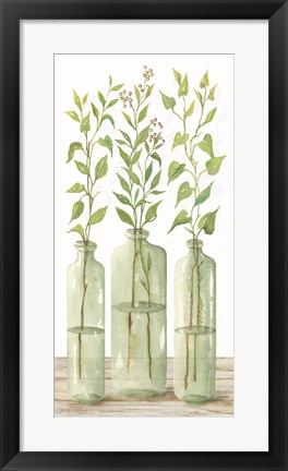 Framed Simple Leaves in Jar II Print