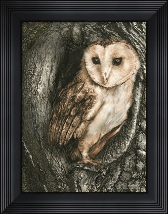 Framed Barn Owl Roost Print