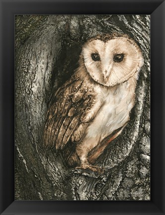 Framed Barn Owl Roost Print