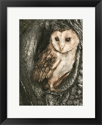 Framed Barn Owl Roost Print