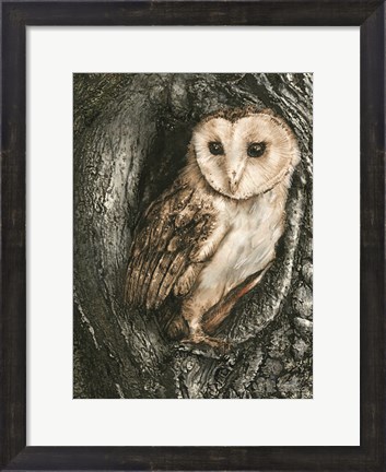 Framed Barn Owl Roost Print