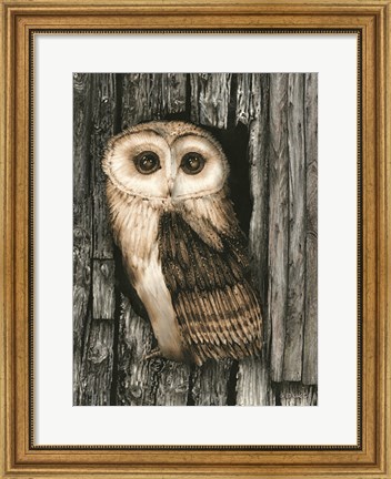 Framed Owl Sentry Print