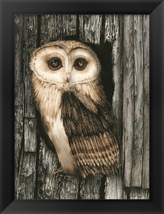 Framed Owl Sentry Print