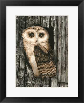 Framed Owl Sentry Print