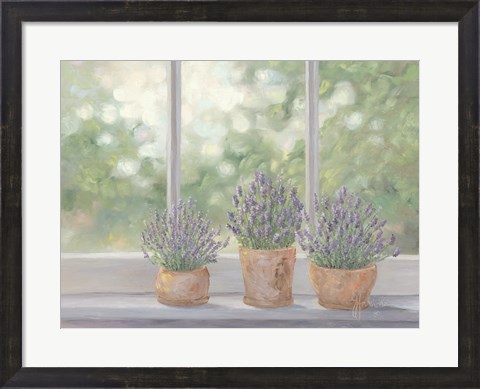 Framed Lavender Pots Print