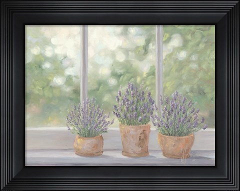 Framed Lavender Pots Print