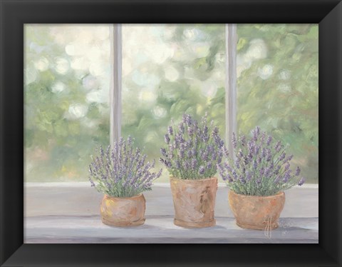 Framed Lavender Pots Print