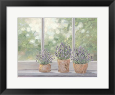 Framed Lavender Pots Print