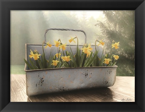 Framed Daffodil Tin Print