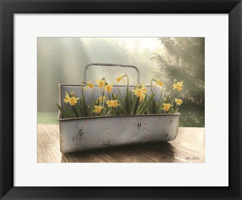 Framed Daffodil Tin Print