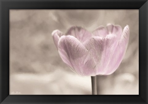 Framed Violet Tulip Print