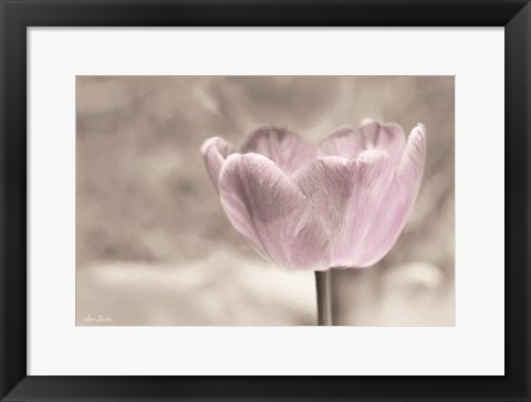 Framed Violet Tulip Print