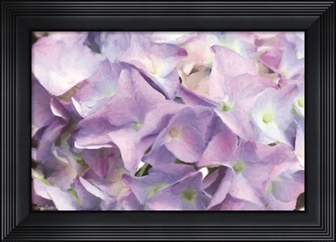 Framed Violet Hydrangeas Print