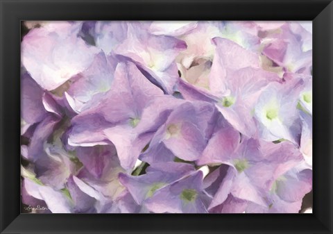 Framed Violet Hydrangeas Print