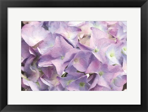 Framed Violet Hydrangeas Print