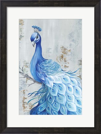 Framed Peacock Paradise Print