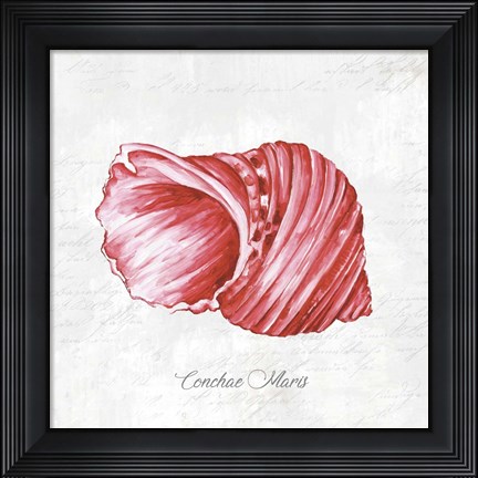 Framed Red Seashell Print