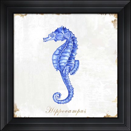 Framed Blue Sea Horse Print