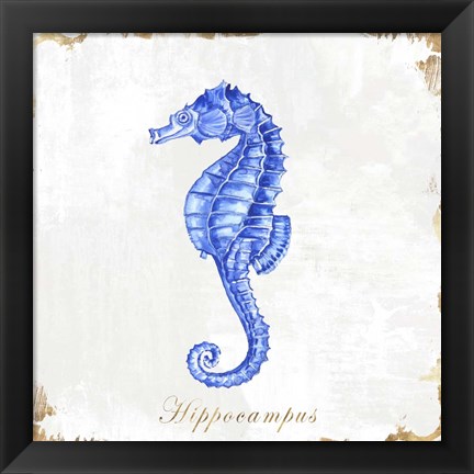 Framed Blue Sea Horse Print