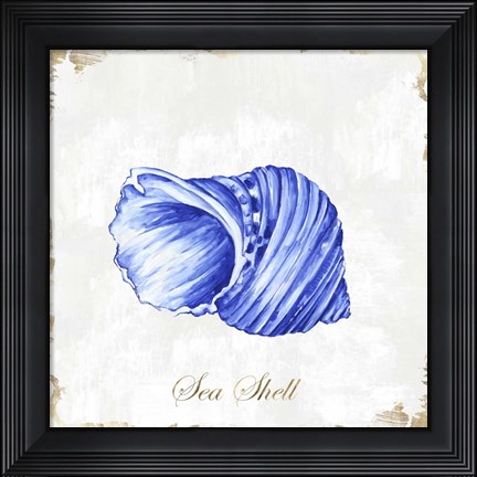 Framed Blue Seashell Print