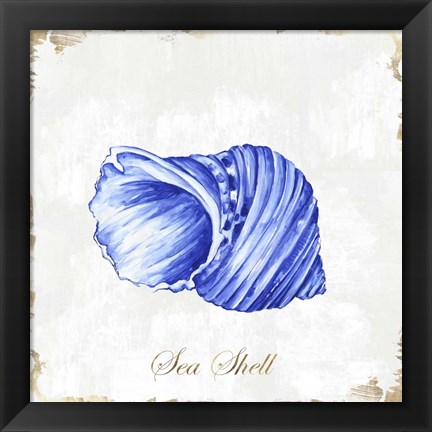 Framed Blue Seashell Print