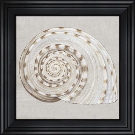 Framed Neutral Shells I Print