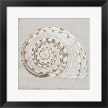 Framed Neutral Shells I Print