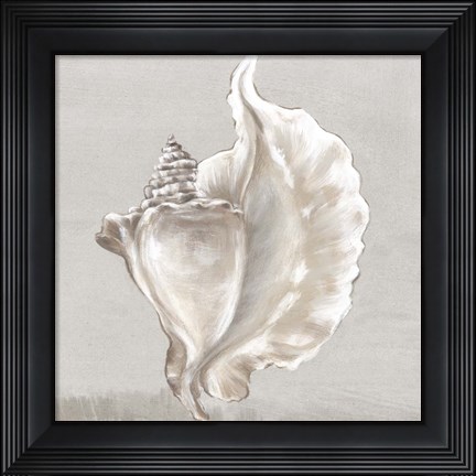 Framed Neutral Shells III Print