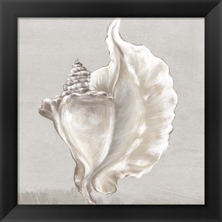 Framed Neutral Shells III Print