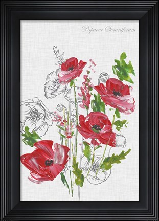 Framed Botanical Poppies Print