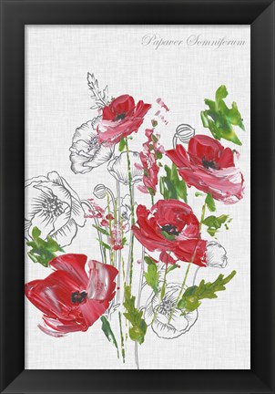 Framed Botanical Poppies Print