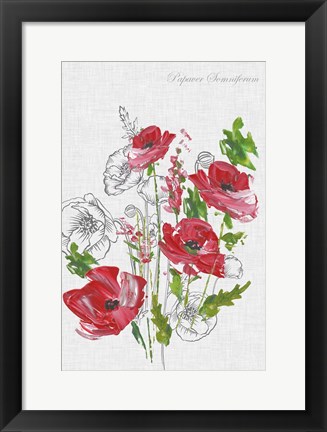 Framed Botanical Poppies Print
