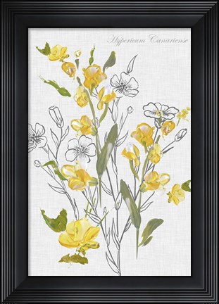 Framed Botantical Yellow Flowers Print