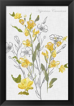 Framed Botantical Yellow Flowers Print