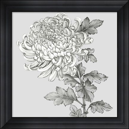 Framed Grey Botanical I Print