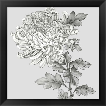 Framed Grey Botanical I Print