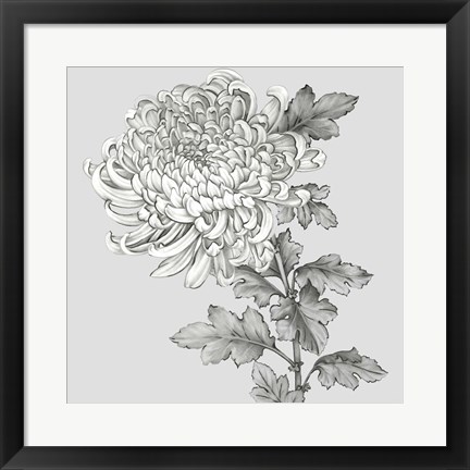 Framed Grey Botanical I Print