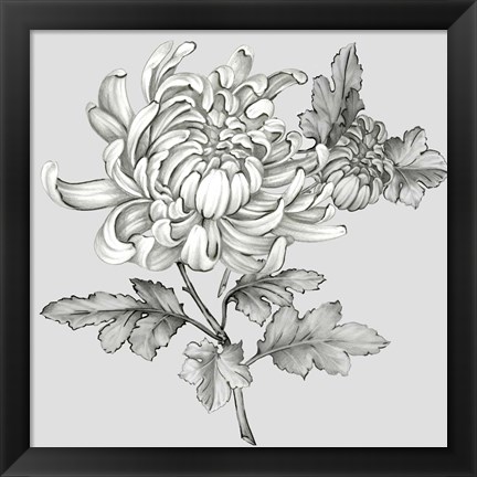 Framed Grey Botanical II Print