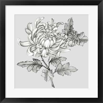 Framed Grey Botanical II Print