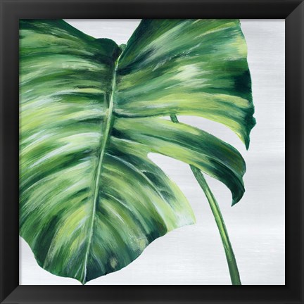 Framed Tropical Leaf II Print