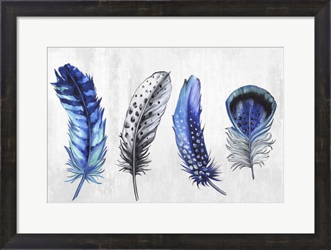 Framed Feather Line up Print