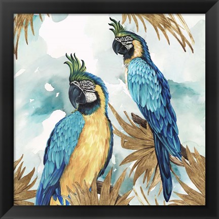 Framed Golden Parrots Print