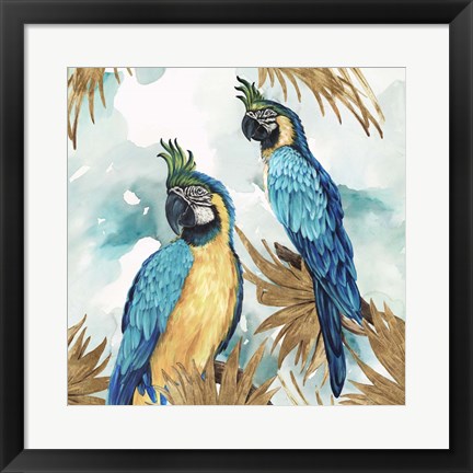 Framed Golden Parrots Print
