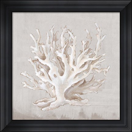 Framed Neutral Shells IV Print