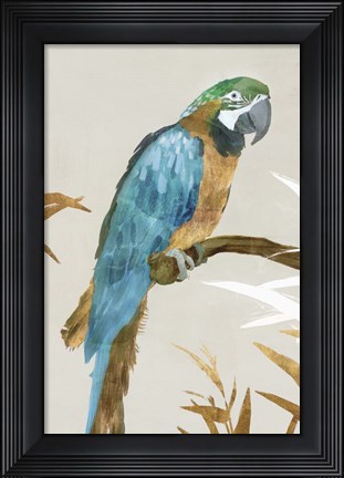 Framed Blue Parrot I Print