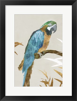 Framed Blue Parrot I Print