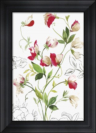 Framed Florecer II Print